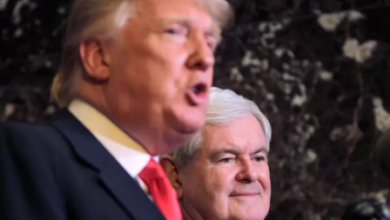 미국, 나이지리아서 IS 연계 세력 타격 주장 — 트럼프 “강력한 공격”