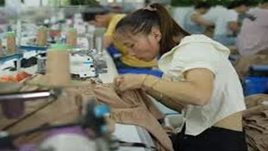 아이들이 공장처럼 반복되는 교육 시스템 속에서 움직이다가 멈춰 선 어른들의 모습을 대비해 보여주는 상징적 장면