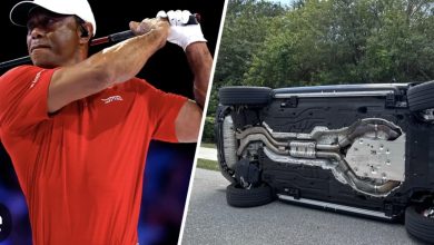 플로리다 전복사고 뒤 DUI 혐의로 체포된 타이거 우즈 관련 뉴스를 상징하는 골프 선수와 경찰차 이미지