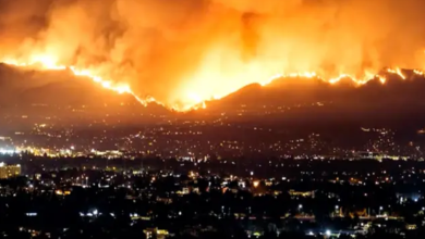 도시 외곽 산불과 스마트폰 예측시장 화면이 겹쳐 보이는 재난 도박 상징 이미지