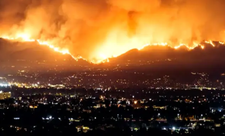 도시 외곽 산불과 스마트폰 예측시장 화면이 겹쳐 보이는 재난 도박 상징 이미지