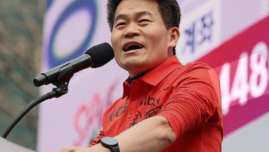 광화문 집회 무대와 여의도 집회 분위기가 대비되고, 전한길과 손현보를 상징하는 발언 장면이 겹쳐 보이는 정치 이미지