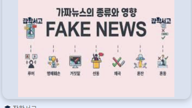 유튜브 의혹 제기부터 고소·고발, 검찰 수사, 법원 판결에 이르는 단계별 사법 절차 인포그래픽.