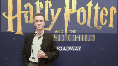 톰 펠턴과 HBO 해리 포터 시리즈의 새 드레이코 말포이 록스 프랫을 상징적으로 보여주는 팬아트 스타일 이미지