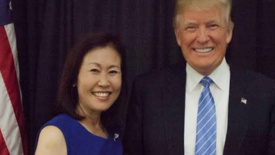 미셸 스틸 주한 미국대사 지명과 한국 정치권의 반응을 다룬 이미지