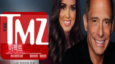 스튜디오 조명 아래 선 하비 레빈과 폭스·TMZ 화면, 워싱턴 의사당 이미지를 겹쳐 보여주는 미디어 권력 상징 장면