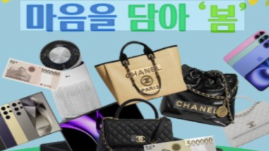 [보훈의 빈자리] 천안함은 늘 뜨거웠지만 참전용사의 겨울은 길었다… 인프레쉬가 드러낸 한국 기억정치의 틈