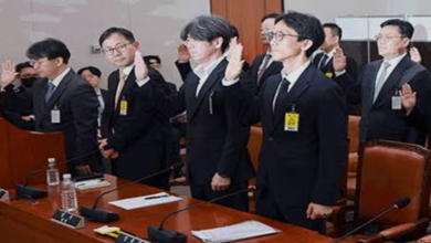 국회 국정조사와 대장동 수사 논란을 상징하는 법정 문서와 검사석 이미지