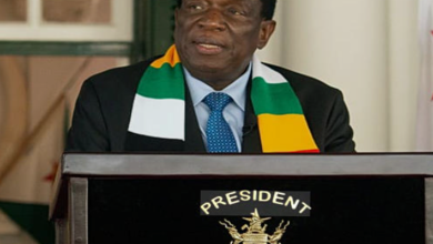 짐바브웨 개헌 반대 공청회와 대통령 장기집권 논란을 상징하는 시민 군중과 의회 이미지