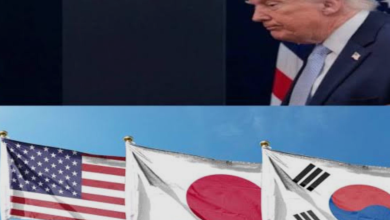 트럼프와 NATO 지도, 그리고 주한미군 기지를 상징적으로 보여주는 안보 긴장 이미지