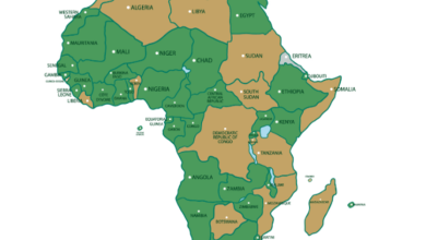 아프리카 지도를 배경으로 카메룬 의회, 수단 시위대, 앙골라 홍수, 소말리아 해상 시추선을 상징적으로 배열한 종합 뉴스 이미지