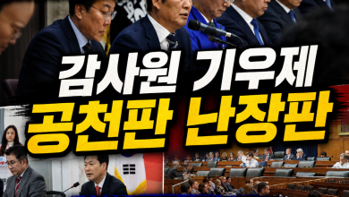 감사원 TF 재조사 논란과 민주당 공천 잡음, 국민의힘 중량급 차출설을 다룬 정치 시사 썸네일 이미지