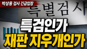 박상용 검사의 조작기소 특검법 비판과 공소취소 권한 논란