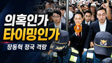 장동혁 TV조선 기획부동산 의혹 논란과 재선거 소청 정국