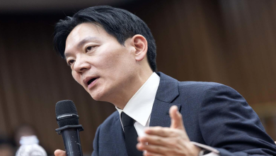 “서영교 위원장님, 1억 걸죠?”…박상용이 던진 판례 내기, 그런데 진짜 ‘국정농단’은 어디 갔나