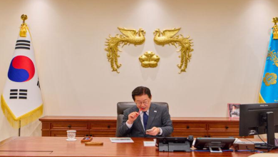 대통령의 X는 무기가 됐나…달콤한 ‘손가혁’ 알고리즘, 여권을 가두다